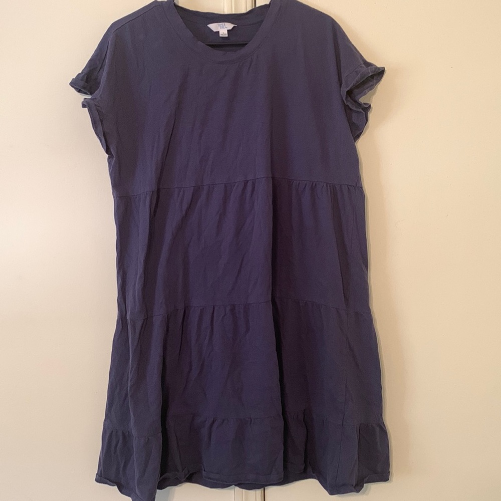 Time and Tru Three Layer Dress